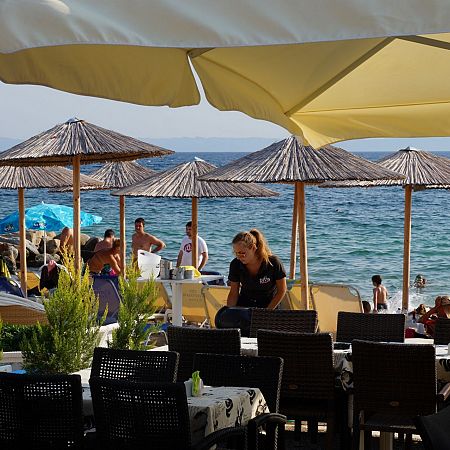 Alexanika Apartments Taverns/Nikiti