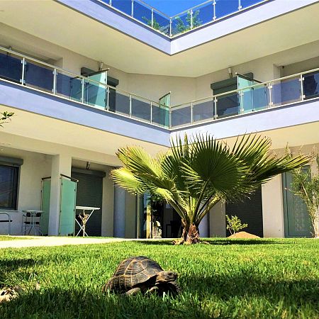 Alexanika Apartments General View