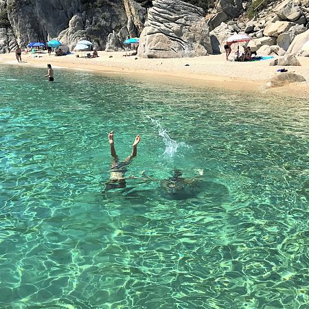 Alexanika Apartments Beaches